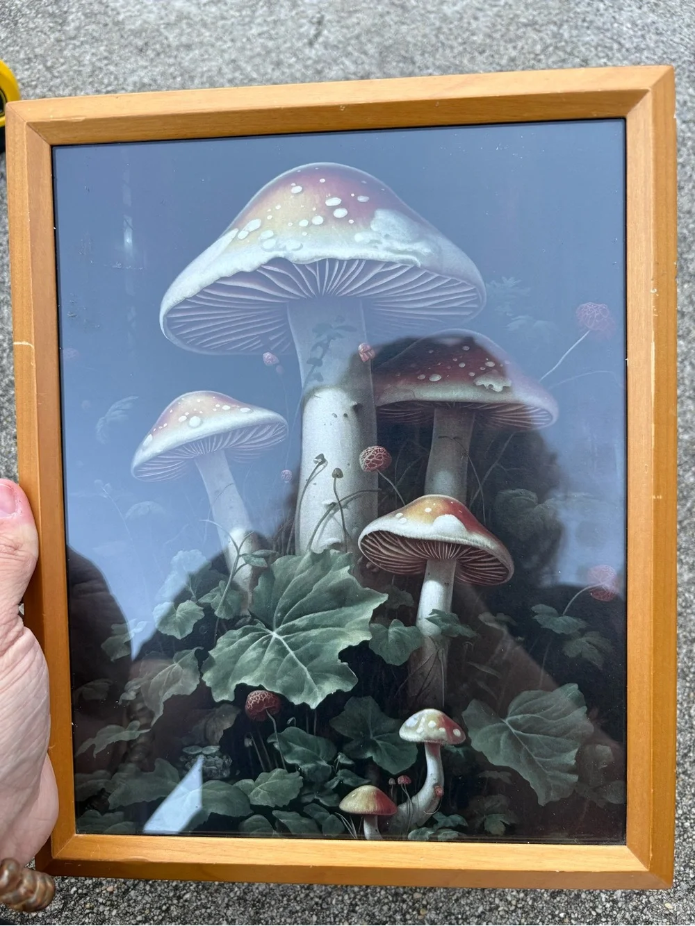 Vintage framed art print dark woodland scene dominated by large red mushrooms - Picture 1 of 11